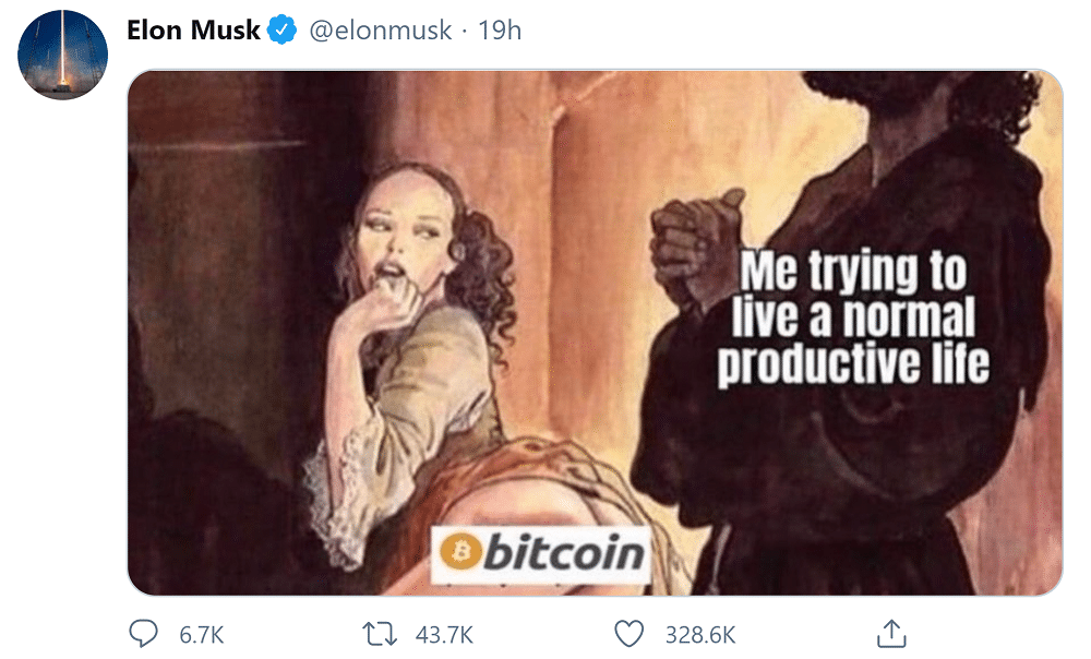 Elon Musk Meme Bitcoin
