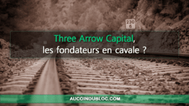 Three Arrow Capital fondateurs fuite
