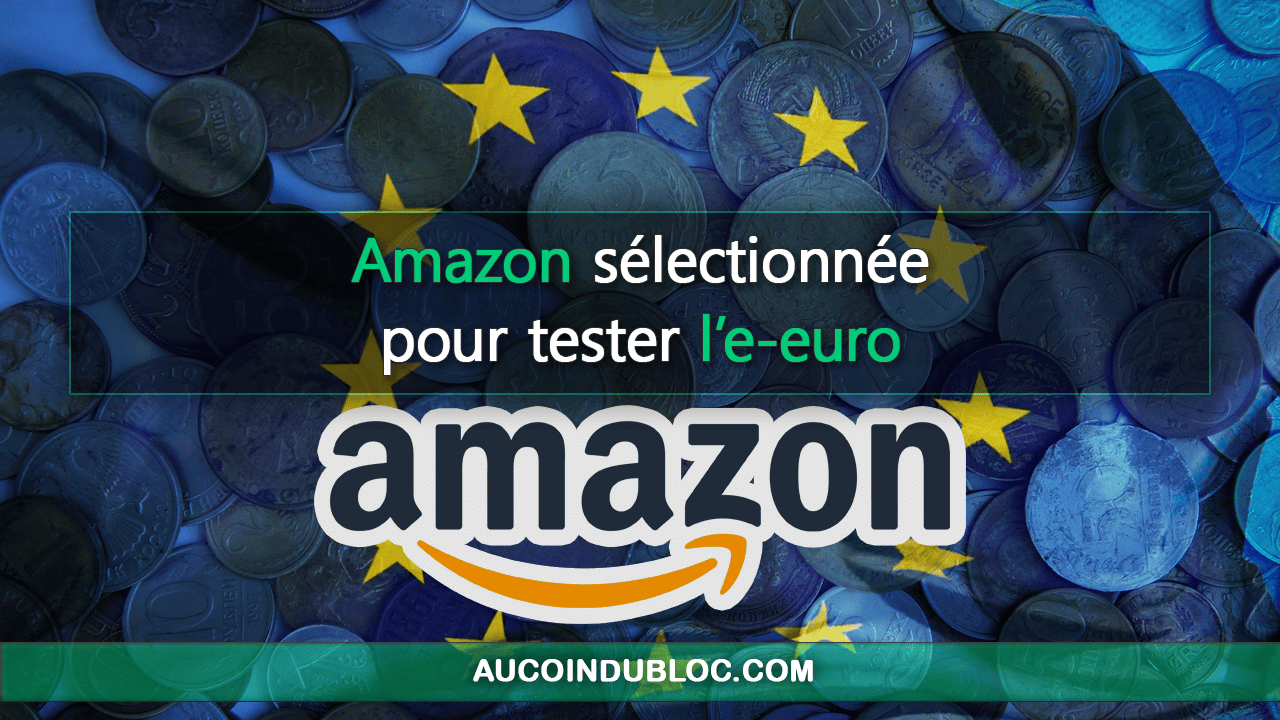 Amazon e-euro