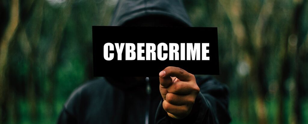 Lutte cyber crime