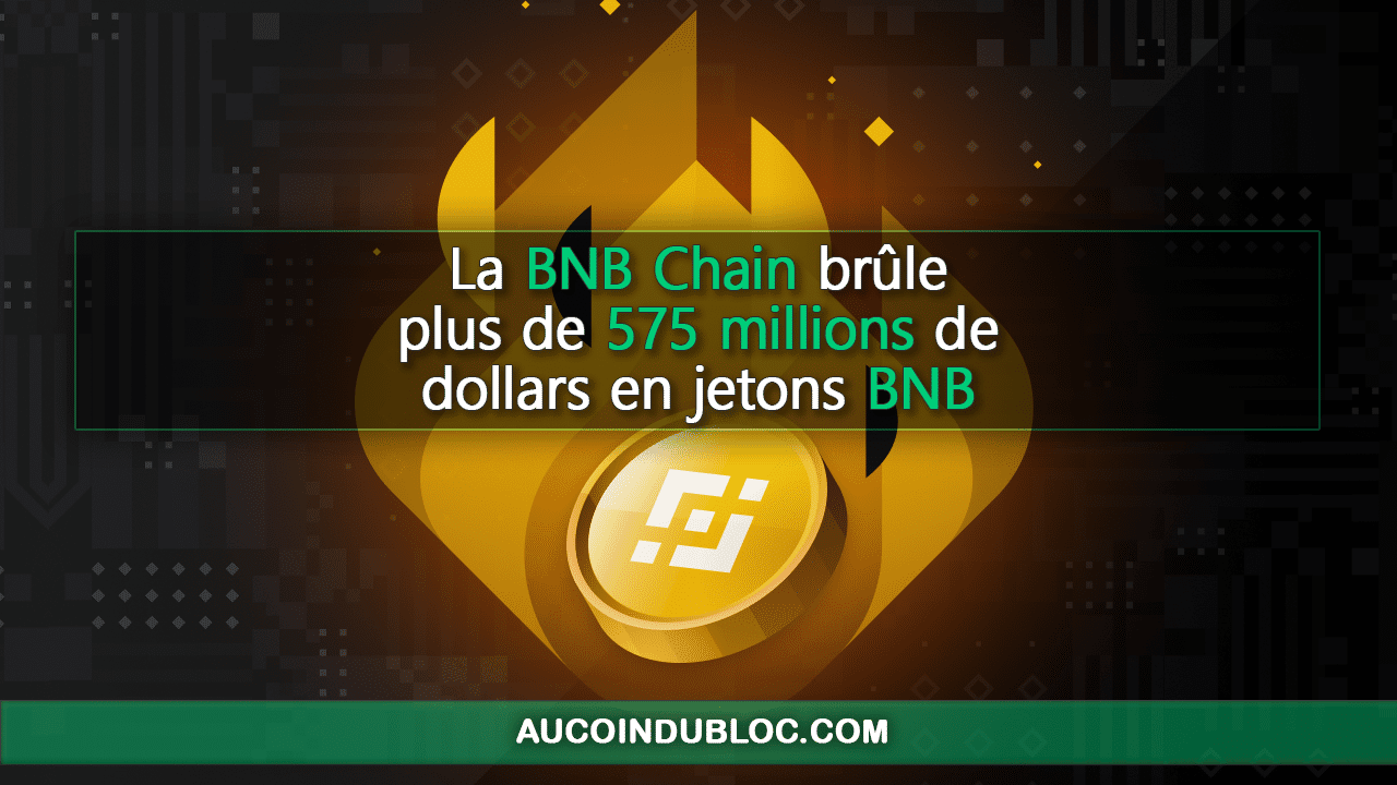 BNB Chain burn token