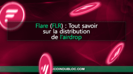Flare FLR airdrop distribution