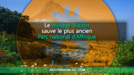Minage Bitcoin Parc Virunga
