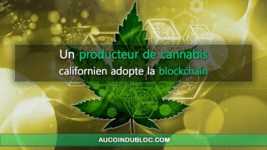 Producteur cannabis blockchain