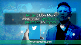 Twitter Elon Musk crypto