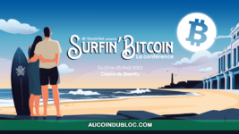 Surfin Bitcoin 2023